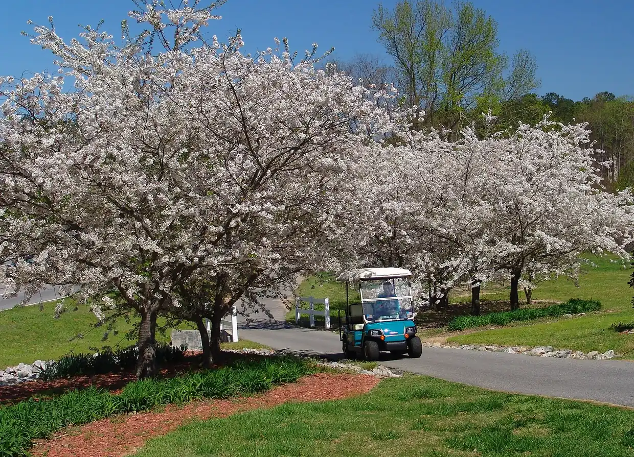 A golf cart on the multi-use path by City Hall in Peachtree City