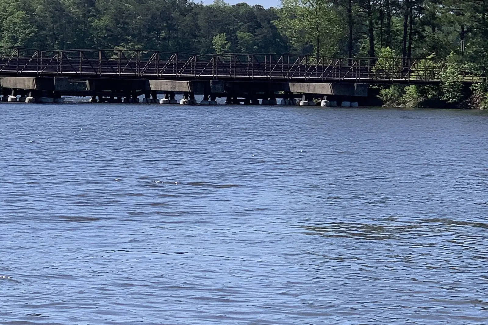 The Peachtree Parkway and golf cart path bridges over Lake Kedron in Peachtree City