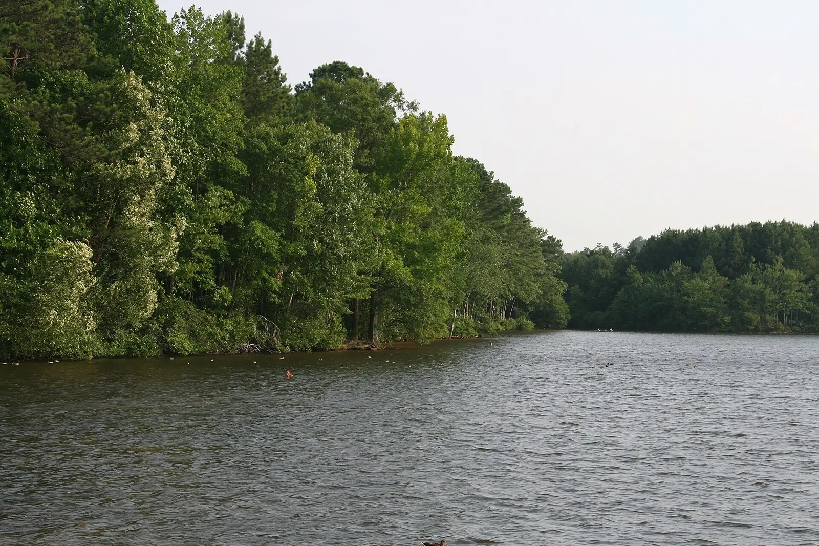 The south end of Lake Peachtree in Peachtree City