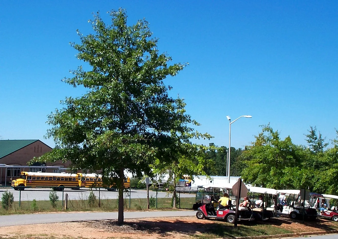 Golf carts and school buses outside Kedron Elementary School on Kedron Drive, Peachtree City.