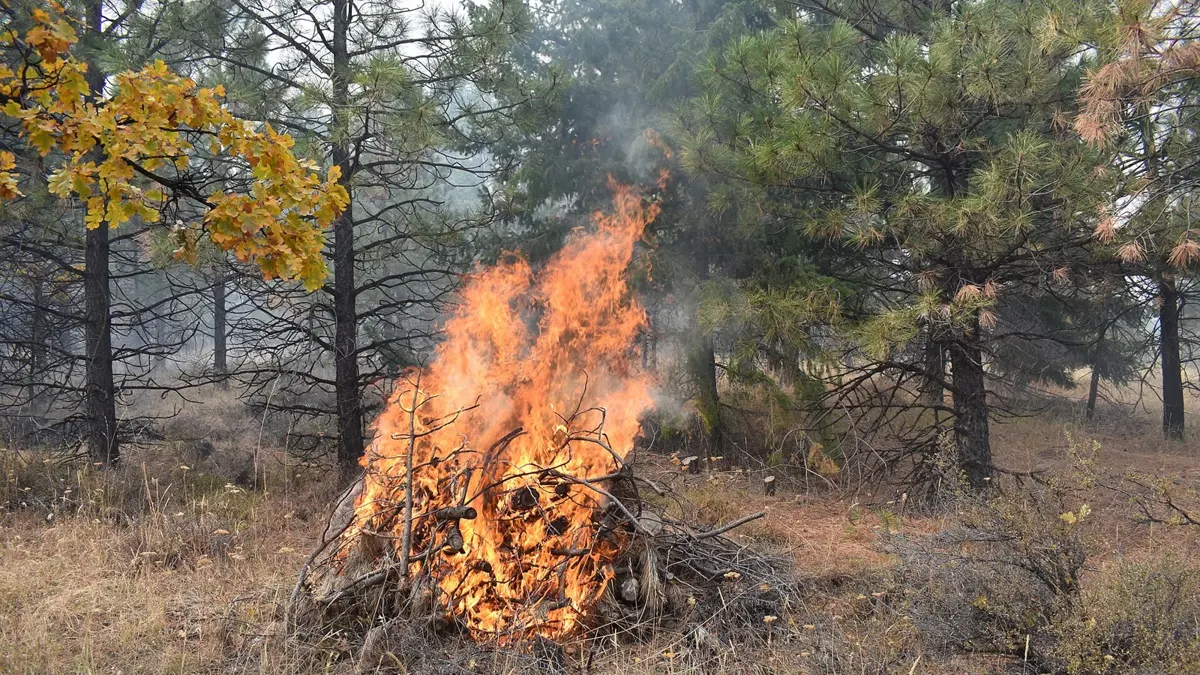 A brush pile burns in Mount Hood National Forest, Oregon. The picture does not show Peachtree City.