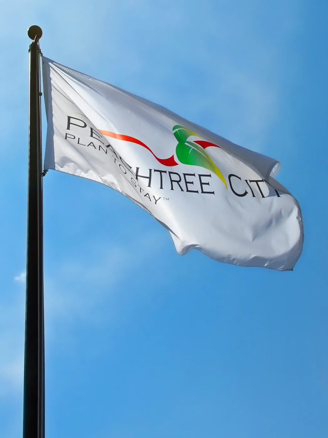 The Peachtree City flag flying outside City Hall.