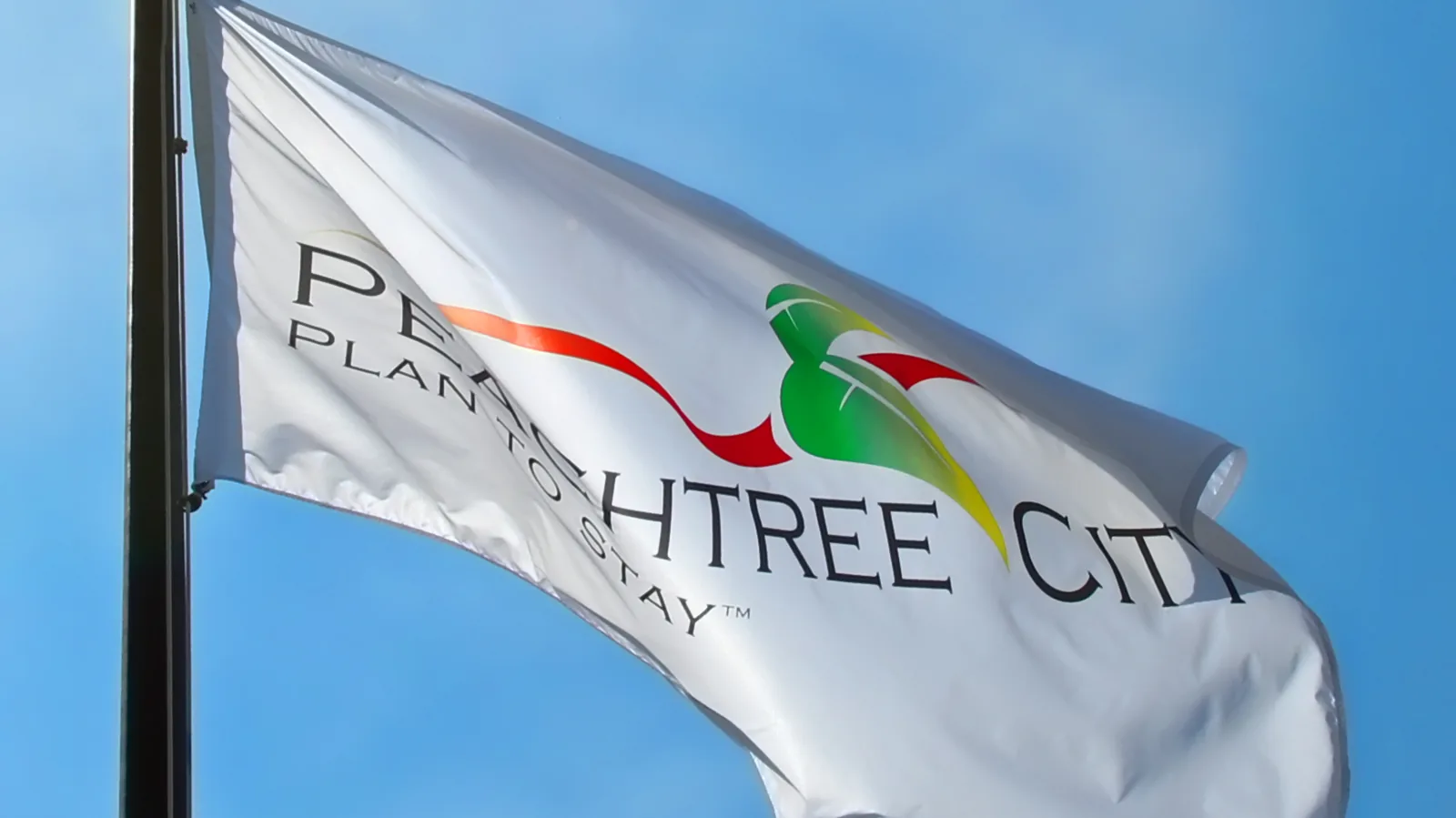 The Peachtree City flag flying outside City Hall