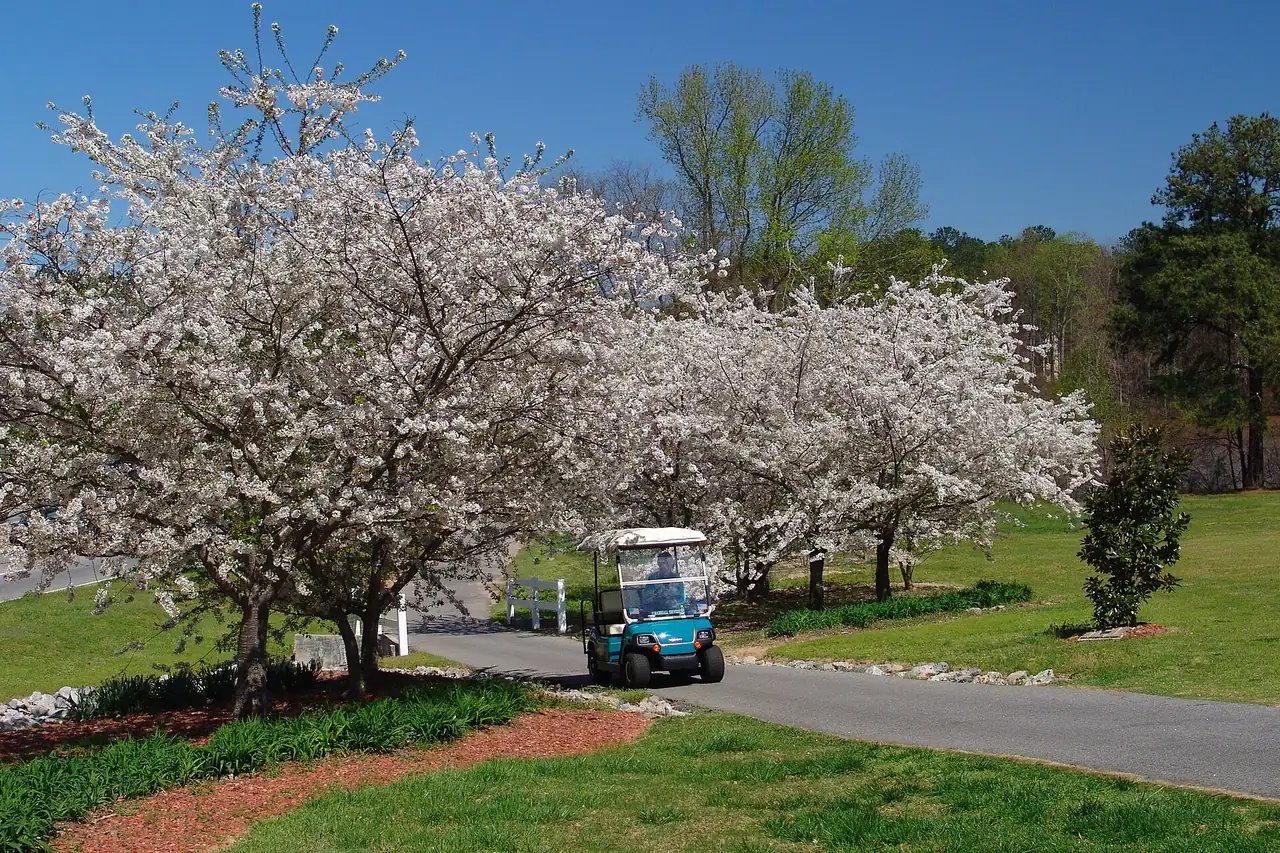Peachtree City obituaries and death notices