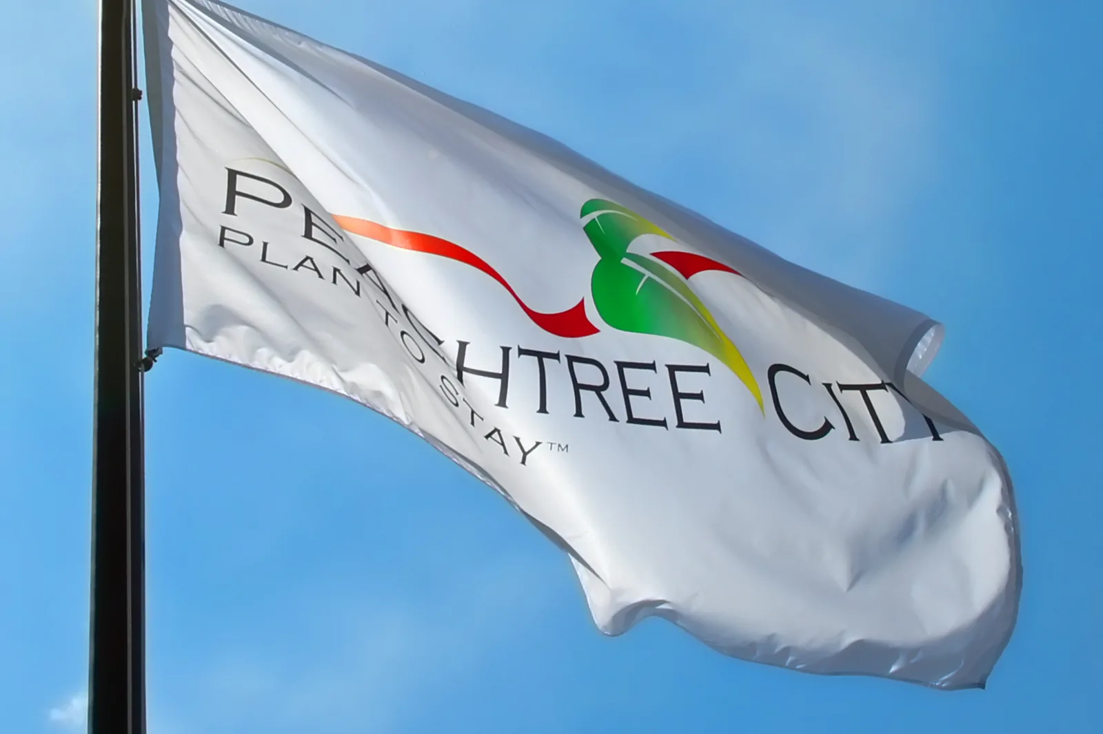 The Peachtree City flag flying outside City Hall.